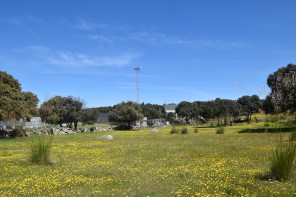 Jardín